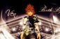 Kingdom Hearts Birth By Sleep non sarà rilasciato per PSPGo!