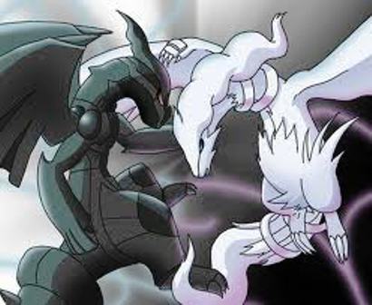 pokemon bianco e nero squadra nintendo ds