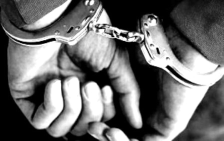 playstation network hacker arrestati